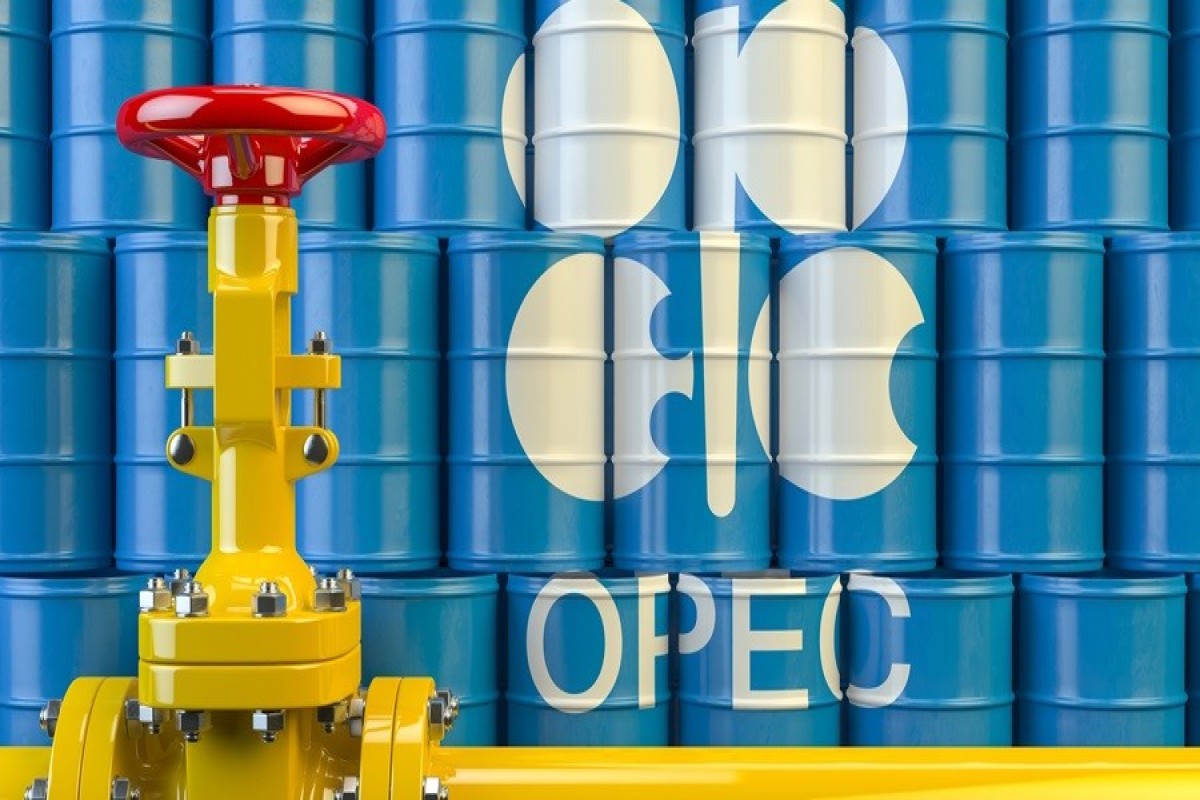 ОПЕК увеличила прогноз мирового спроса на нефть на 2027 год