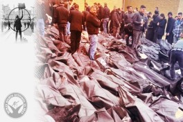 Количество погибших в ходе протестов в Иране превысило 2 400 человек