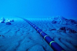 Назван срок представления ТЭО по проекту «Black Sea Energy Electric Cable» - ЭКСКЛЮЗИВ 