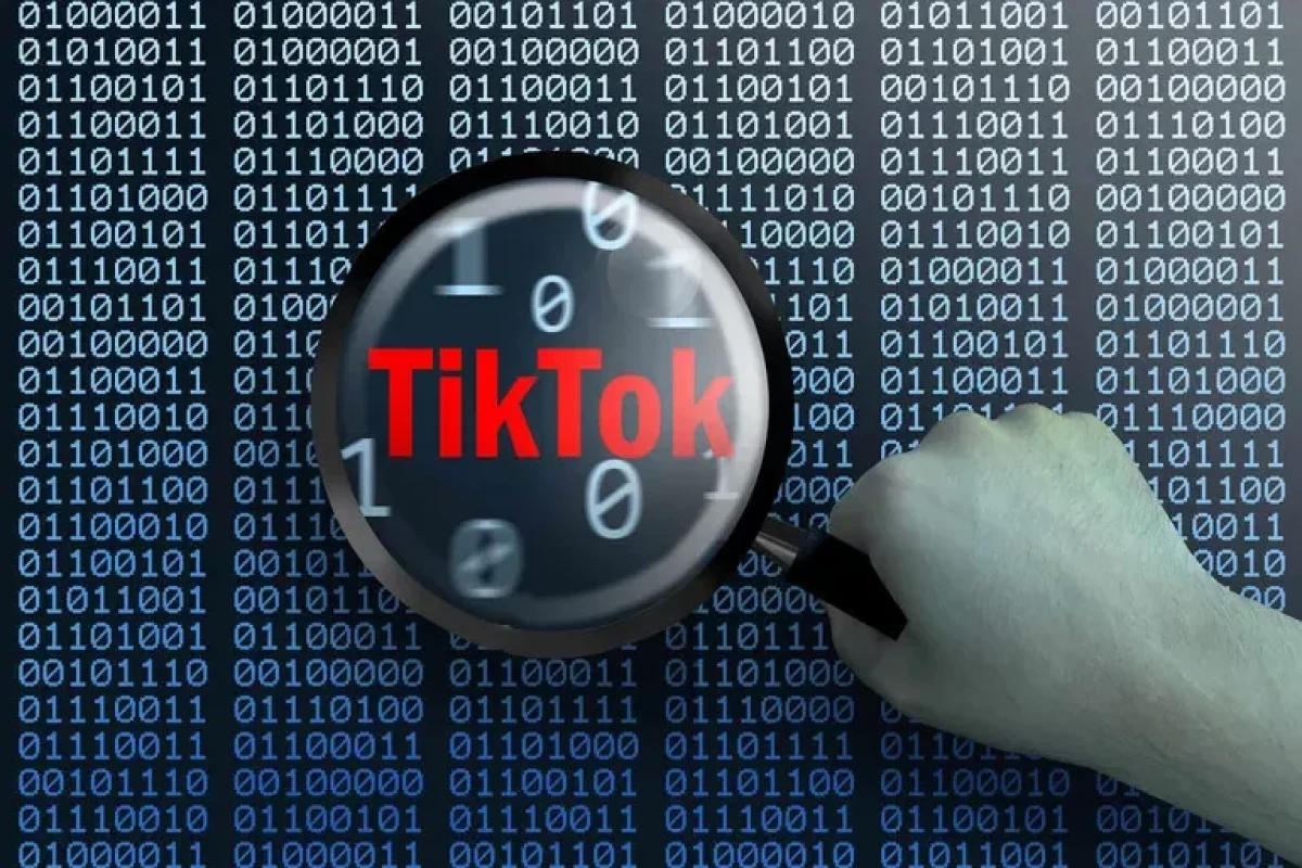 В Евросоюзе TikTok начнет проверять возраст аккаунтов