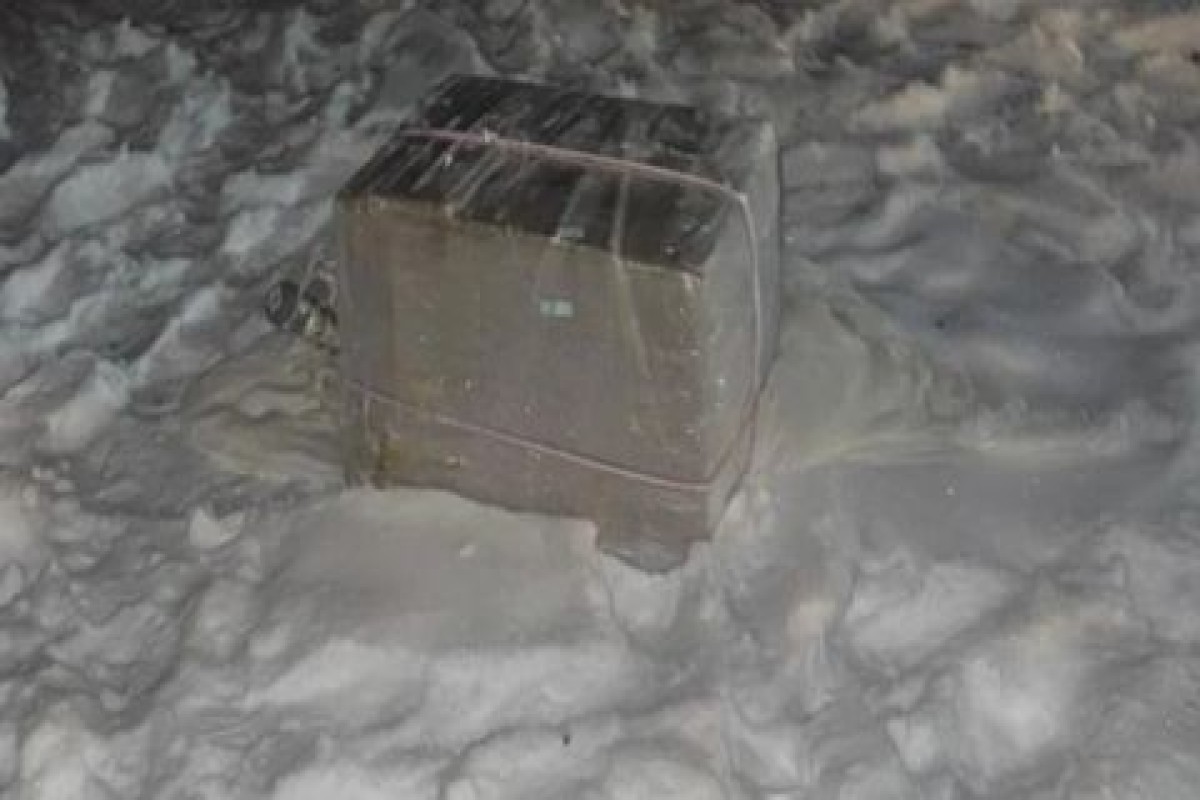 В Польше нашли воздушные шары с контрабандными сигаретами из Беларуси