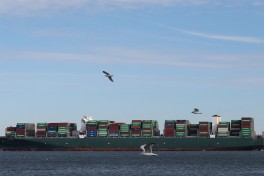 Судно с грузом металла из РФ остановили в порту Бриндизи