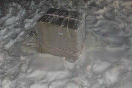 В Польше нашли воздушные шары с контрабандными сигаретами из Беларуси