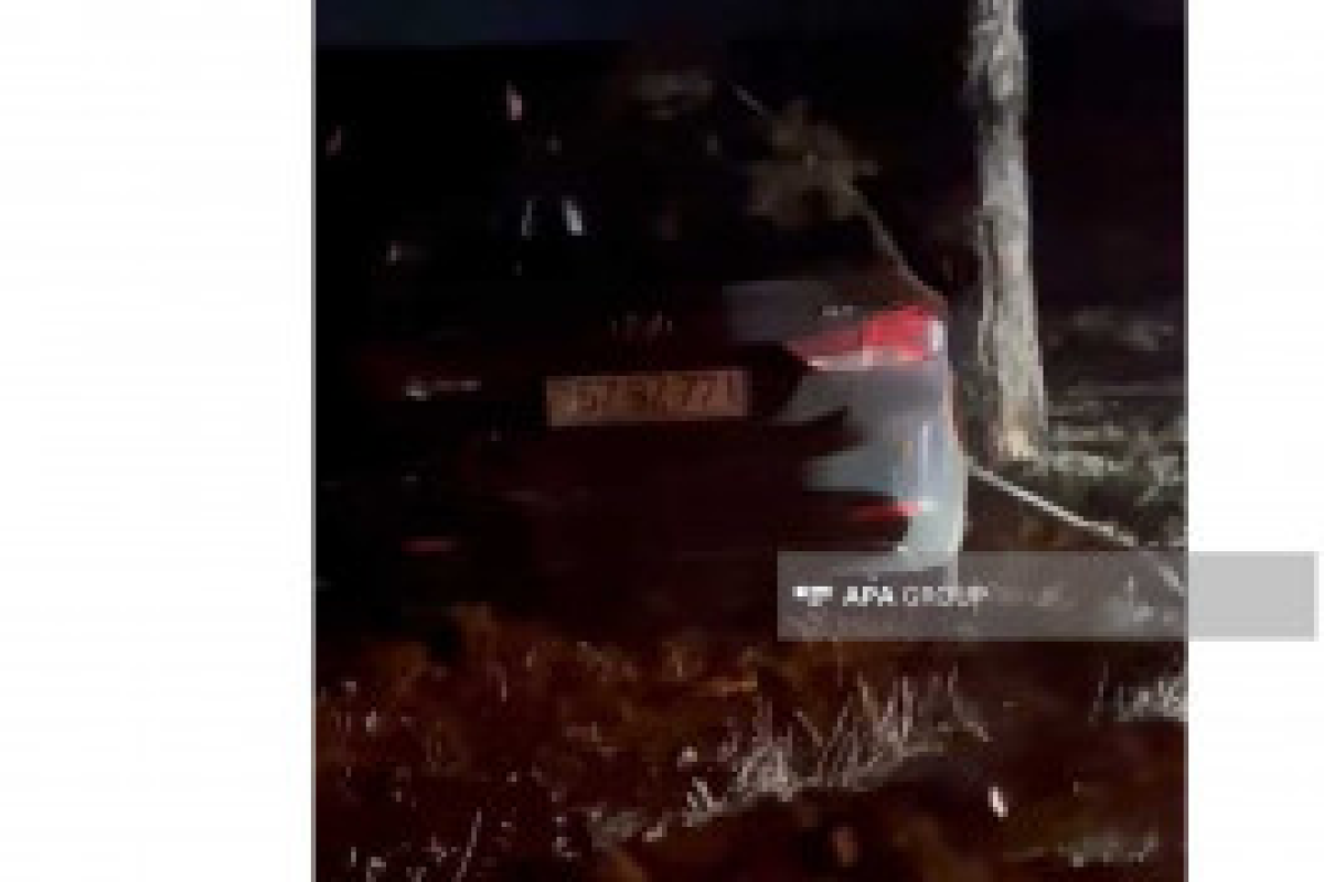 В Шамкире легковой автомобиль врезался в дерево, есть погибший-ФОТО -ОБНОВЛЕНО 