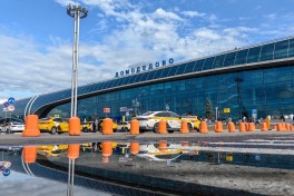 Цена на Домодедово может снизиться до 50% стартовой оценки на аукционе