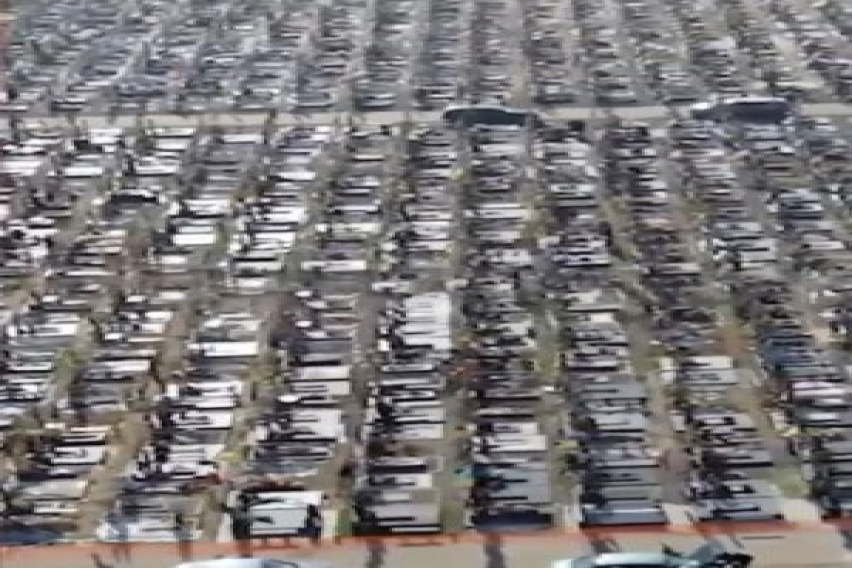 СМИ опубликовали кадры масштабных военных кладбищ в Украине-ФОТО -ВИДЕО 