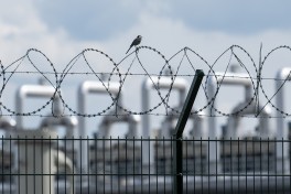 IEA зафиксировало ускорение роста потребления газа в Европе