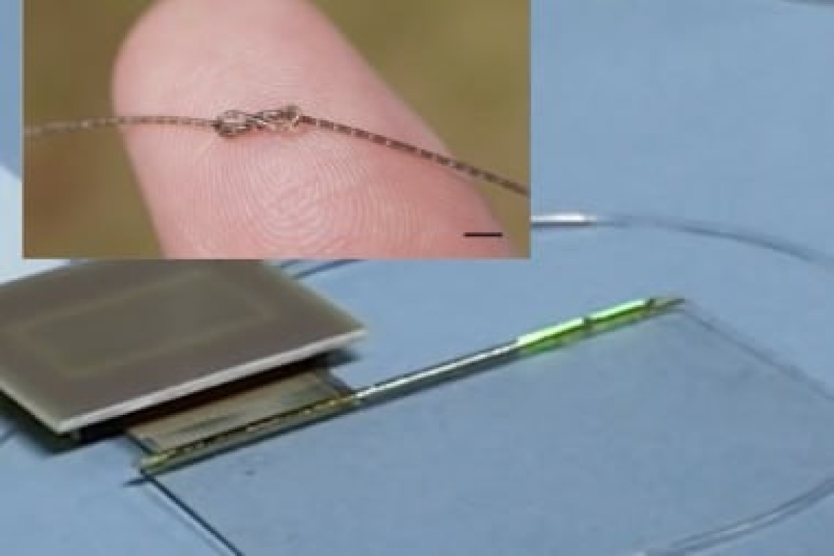 В Китае разработали гибкий чип нового поколения