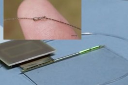 В Китае разработали гибкий чип нового поколения