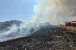В Азербайджане ужесточено наказание за поджог посевных площадей