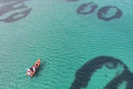 У берегов Шотландии впервые за столетие обнаружили «волшебные круги»