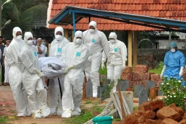 Мир насторожила вспышка смертельного вируса Нипах в Индии