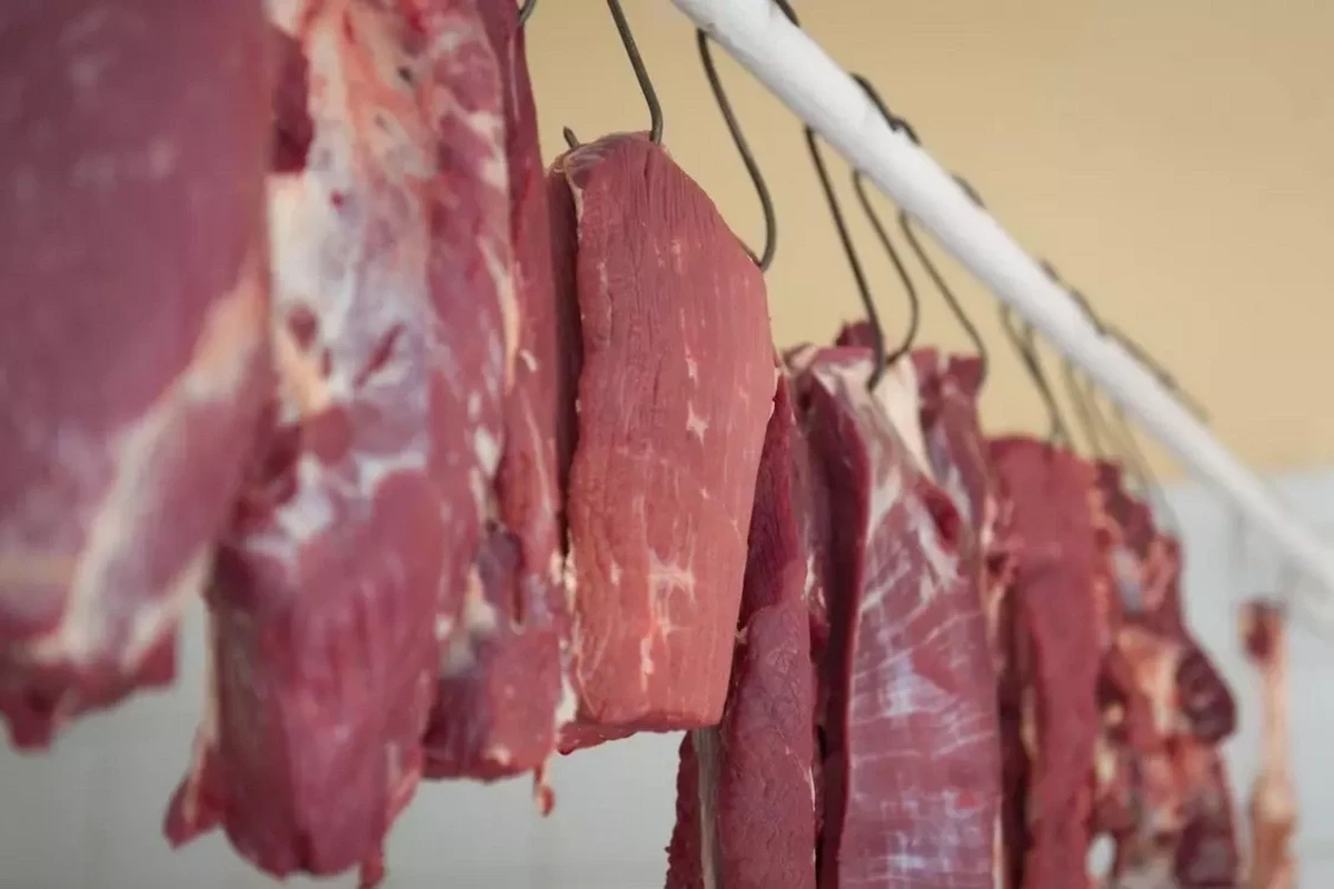 Азербайджан резко увеличил закупки мяса буйвола из Индии 