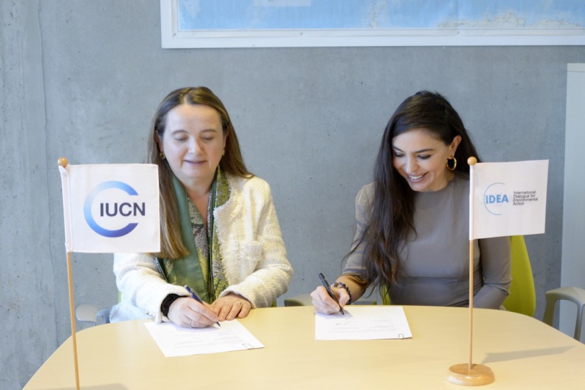 Лейла Алиева и Гретель Агилар обсудили в Швейцарии возможности сотрудничества-ФОТО 