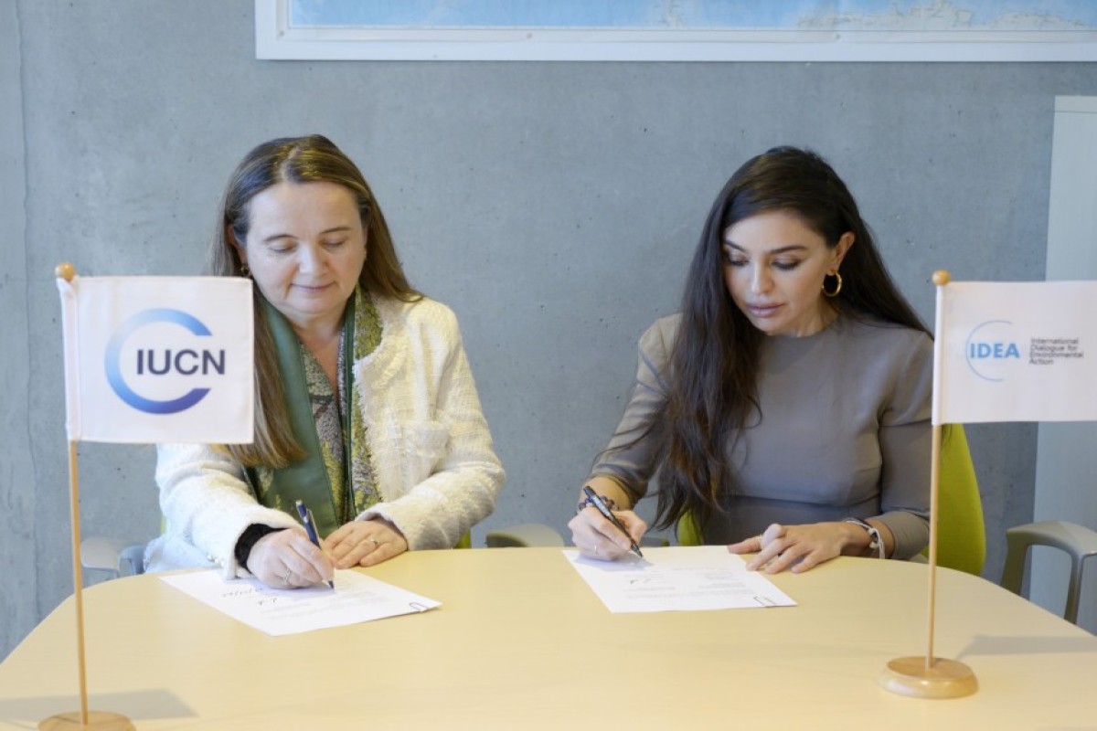 Лейла Алиева и Гретель Агилар обсудили в Швейцарии возможности сотрудничества-ФОТО 