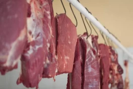 Азербайджан резко увеличил закупки мяса буйвола из Индии 