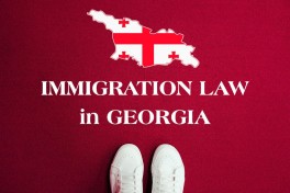 Ужесточение миграционной политики Грузии: депортации, запреты на въезд и разрешения на работу - АНАЛИТИКА 