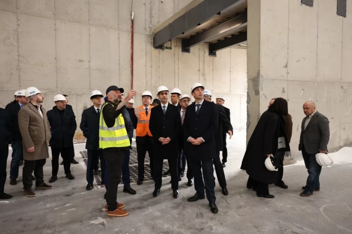 ADY и грузинские порты усиливают сотрудничество по Среднему коридору-ФОТО 