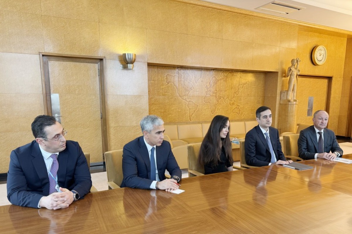 Лейла Алиева встретилась с генеральным директором Женевского офиса ООН