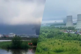 Зеленский подтвердил удар по крупнейшему нефтяному терминалу под Санкт-Петербургом