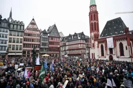 Тысячи жителей Германии вышли на протесты против съезда AfD