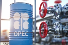 Страны ОПЕК+ повысят потолок добычи нефти в августе на 188 тыс. баррелей в сутки