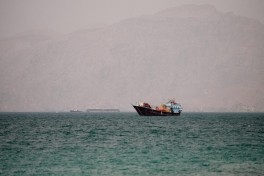 Франция ищет альтернативу Ормузскому проливу для поставок нефти