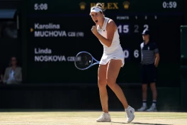 Чешская теннисистка Носкова выиграла Уимблдон