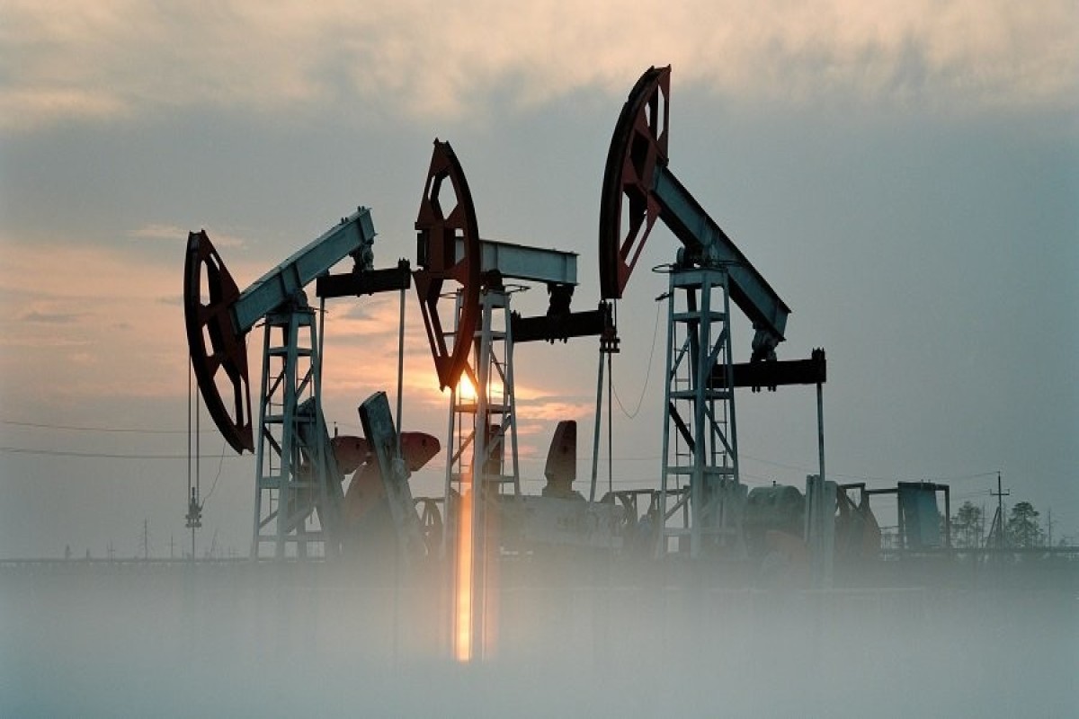 Милли Меджлис утвердил новые возможности для ненефтегазового сектора