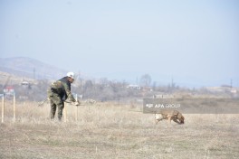 На освобожденных территориях Азербайджана за неделю обнаружили 114 мин