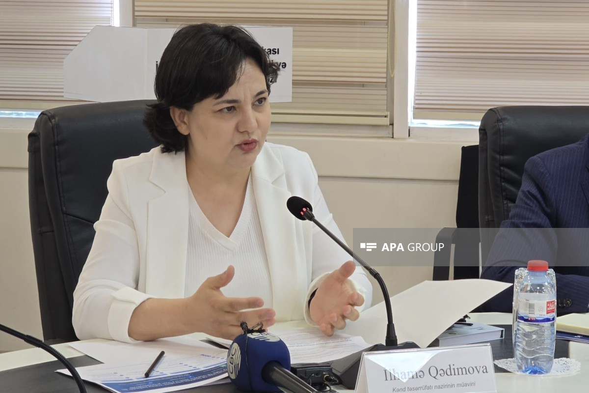 ИИ поможет выявлять неправомерно выданные сельскохозяйственные субсидии
