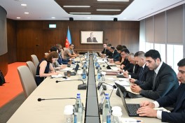 Самед Беширли встретился с главой миссии МВФ по Азербайджану-ФОТО 