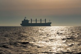 СМИ: турецкий сухогруз атаковали БПЛА в Черном море, погиб человек