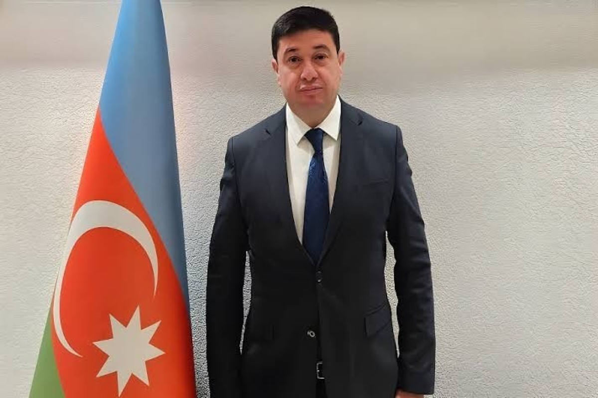Замин Алиев