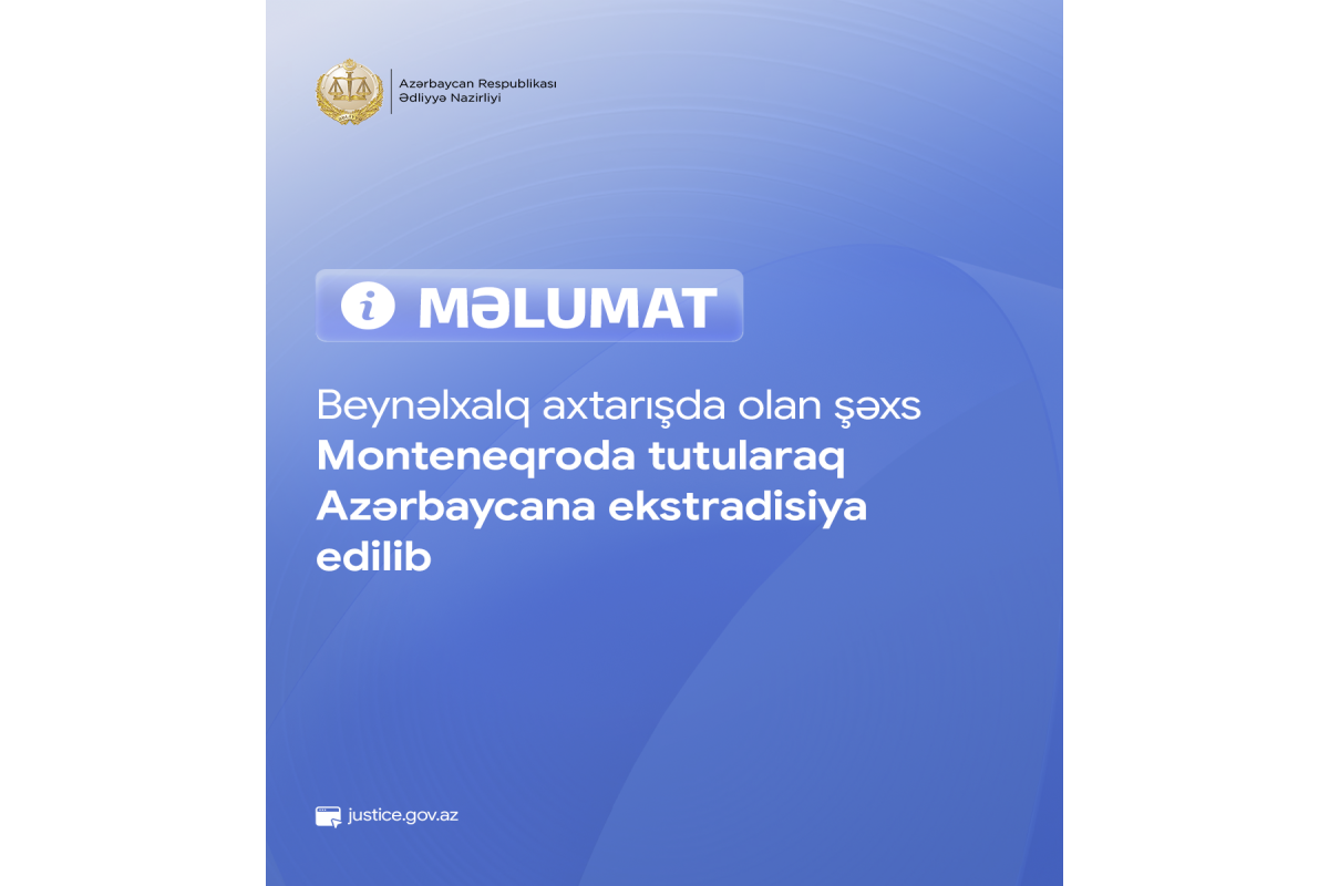 Задержанный в Черногории фигурант дела о мошенничестве доставлен в Азербайджан