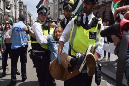 В Лондоне за поддержку Palestine Action задержали 117 человек