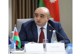 Фуад Чырагов будет курировать образовательное сотрудничество Азербайджана и Грузии