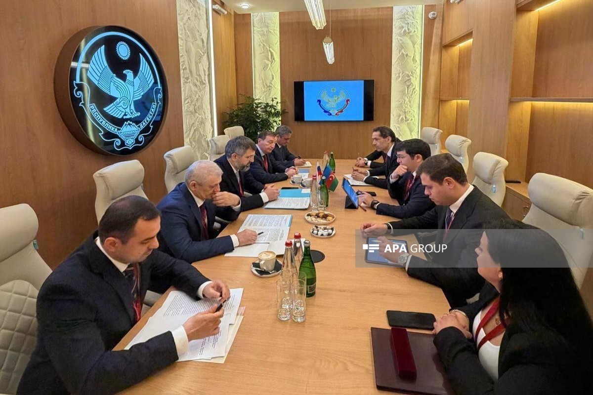 Делегация Азербайджана провела ряд встреч на ПМЭФ -ФОТО 