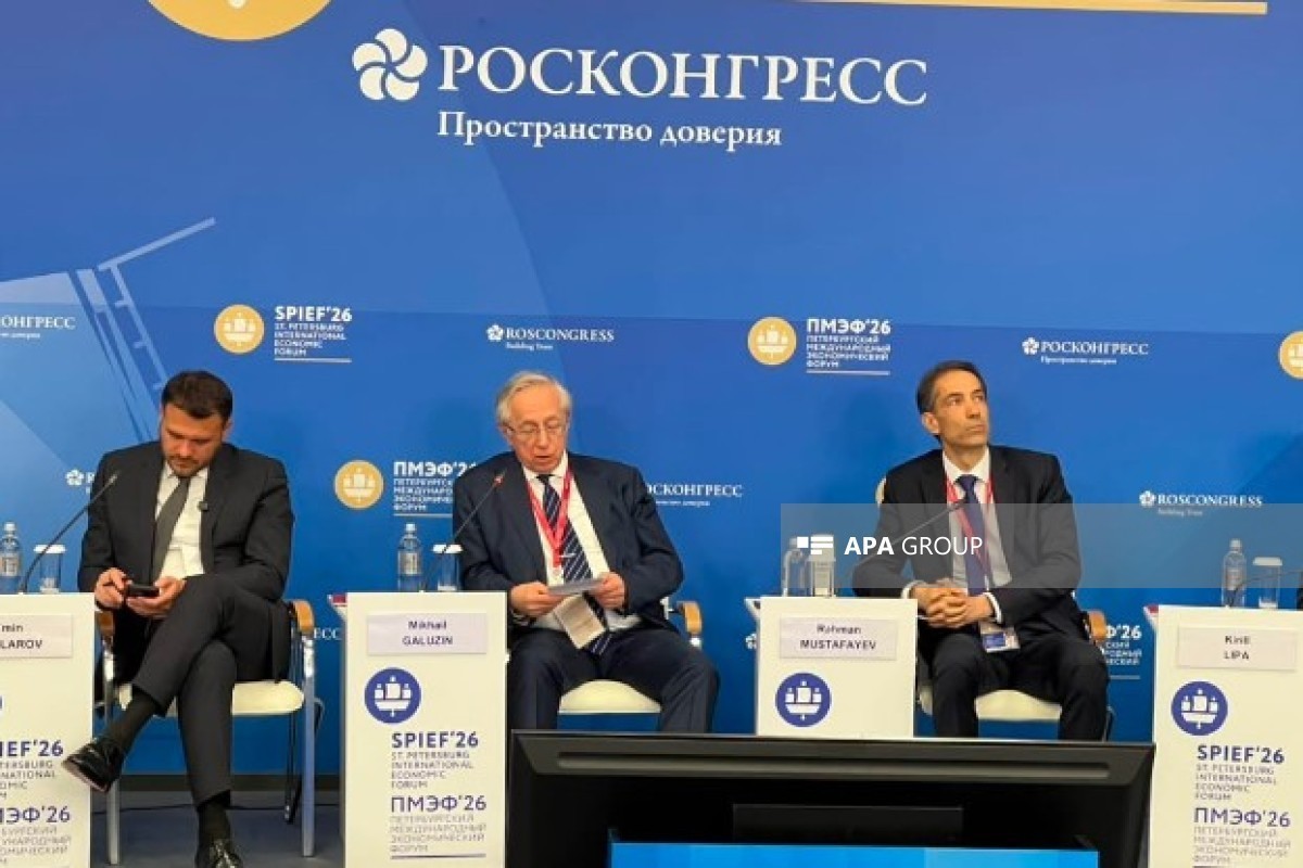 В Санкт-Петербурге состоялся азербайджано-российский бизнес-диалог-ФОТО 
