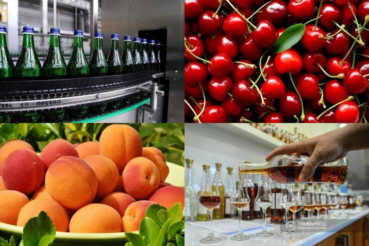 Армения выделит третий пакет субсидий компаниям для экспорта продукции в ЕС 