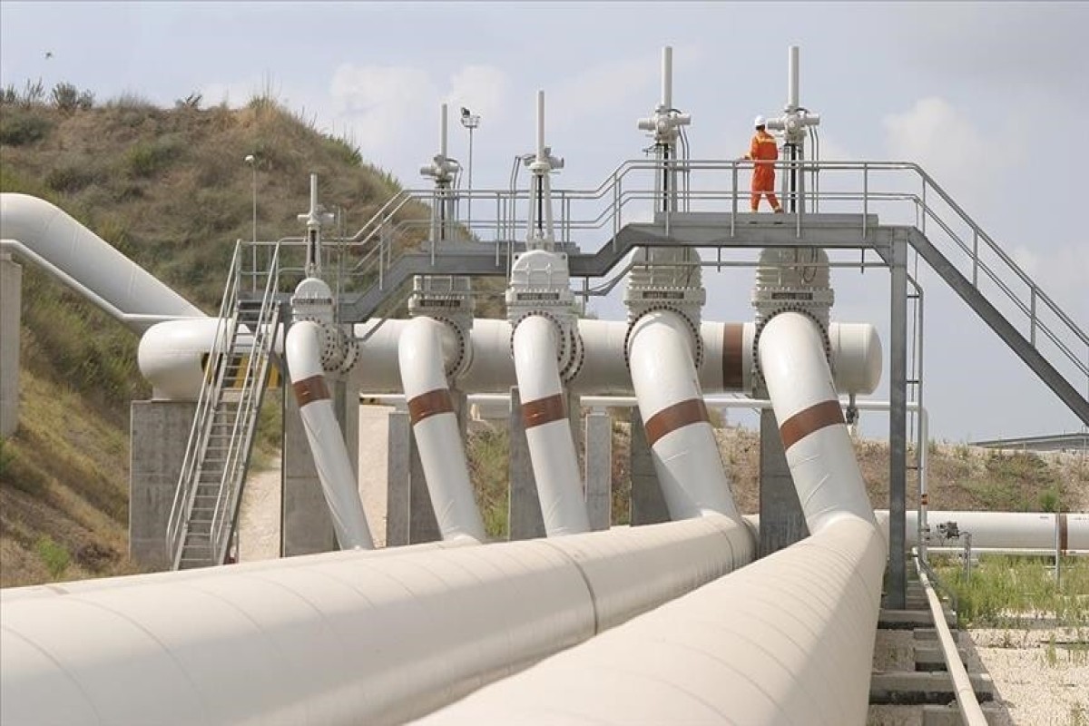 OПЕК зафиксировала падение экспорта нефти по БТД