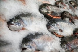 Россия нашла замену армянской форели