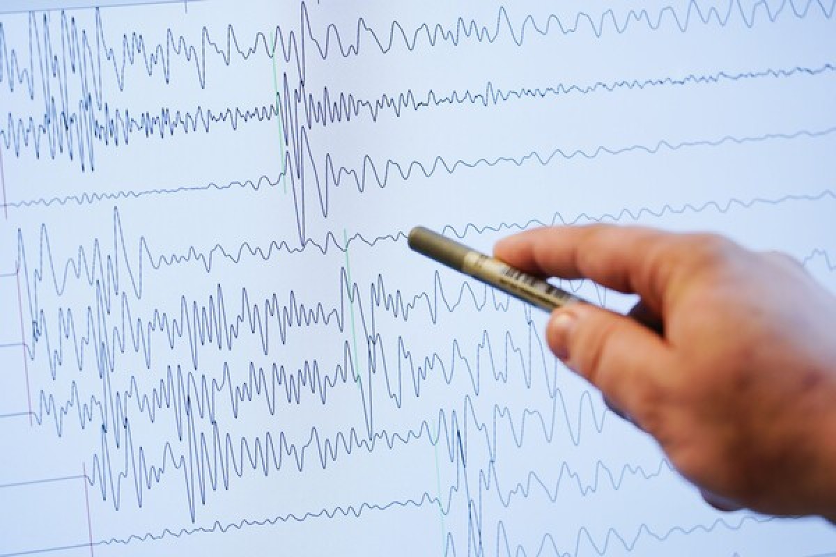 В центральной Японии произошло землетрясение магнитудой 5,5