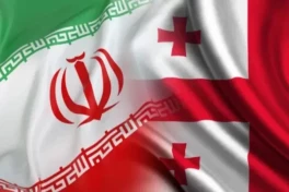 В Тбилиси задержан гражданин Ирана за повреждение здания посольства-ВИДЕО 