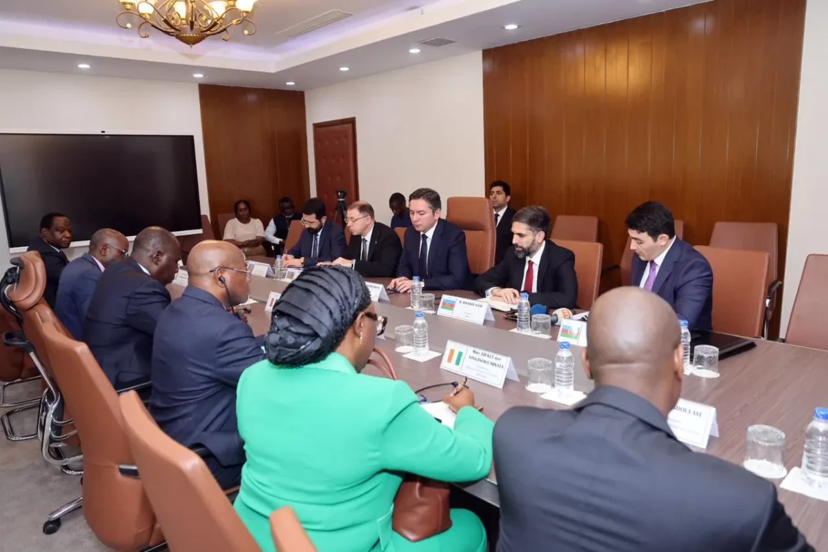 Азербайджан и Кот-д’Ивуар обсудили совместные проекты в нефтегазовой сфере-ФОТО 