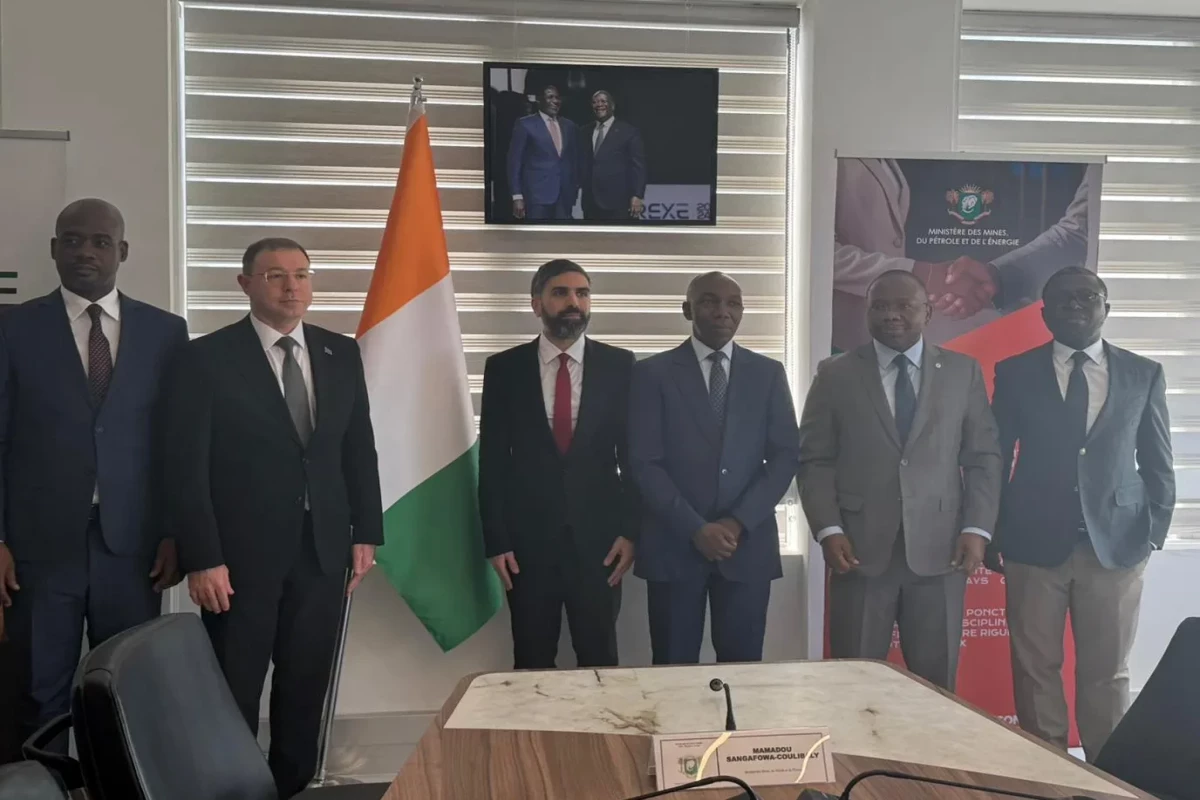 Азербайджан и Кот-д’Ивуар обсудили совместные проекты в нефтегазовой сфере-ФОТО 