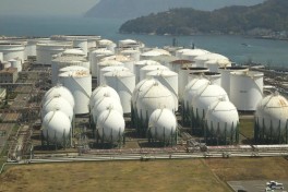 Япония обсуждает использование стратегических запасов нефти