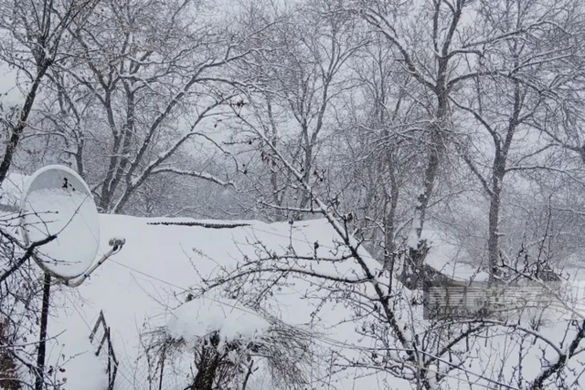 В Нахчыване высота снежного покрова достигла 54 сантиметров