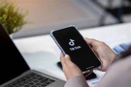 За оскорбления в TikTok житель Сабирабада получил штраф