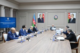 В Кабмине обсудили итоги работы компаний Азербайджанского инвестиционного холдинга-ФОТО 